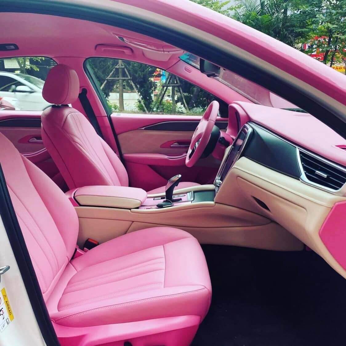 X-Vinfast-Mau-Hong-11 Xe VinFast mầu hồng và những lựa chọn cho các cô nàng xinh đẹp